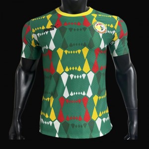 Player Version 2023 Senegal Home Jersey